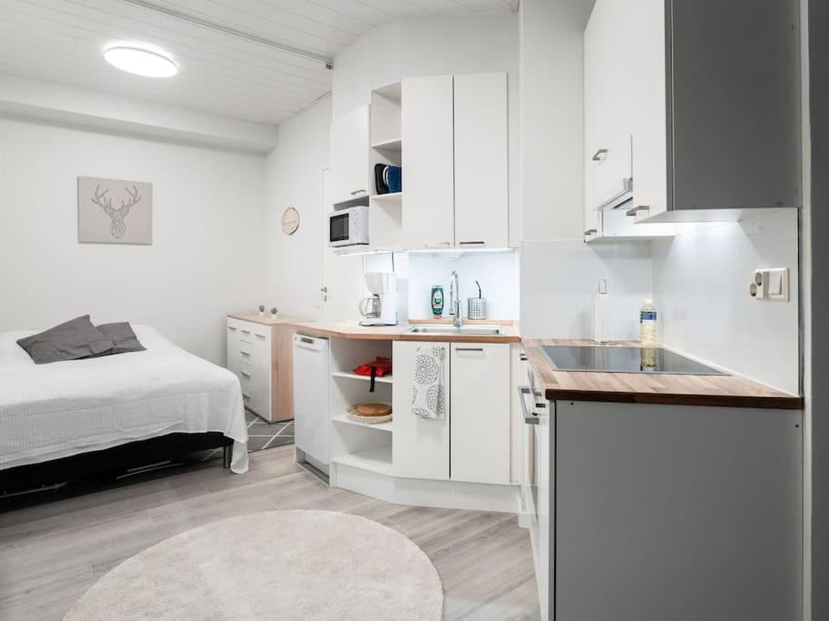 Cozy Roomy Studio Flat Next To Tram Stop @ Kallio Helsinki Luaran gambar