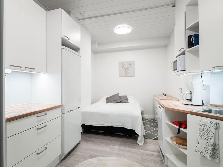 Cozy Roomy Studio Flat Next To Tram Stop @ Kallio Helsinki Luaran gambar